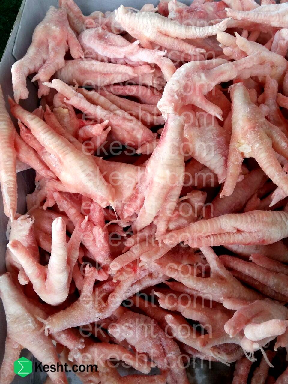 chicken feet collagen