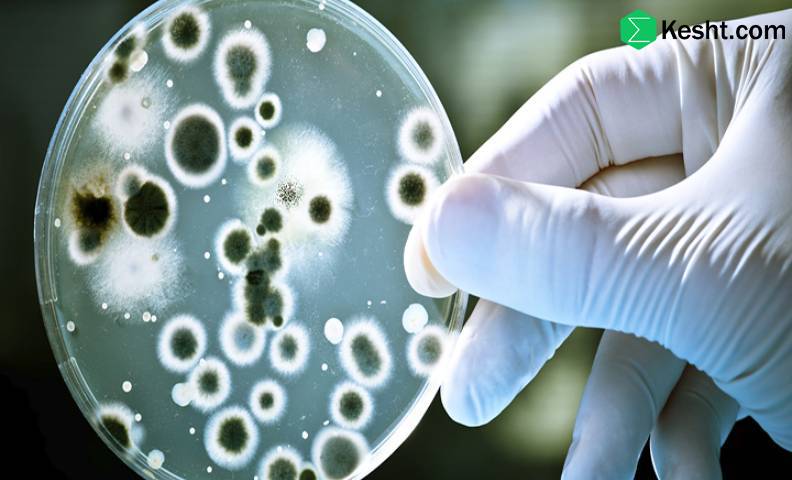 روش های تست میکروبی نهال ها