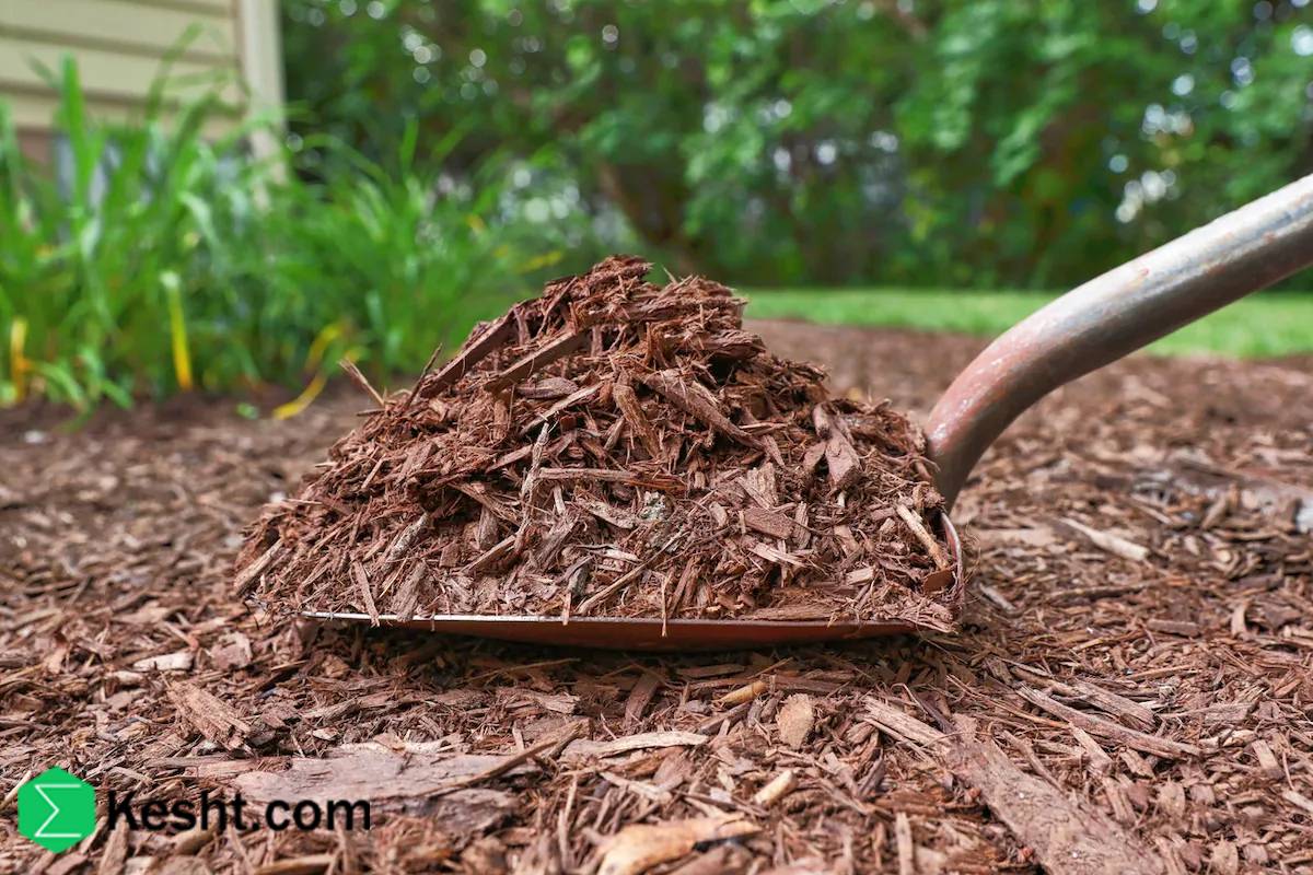 lightweight-mulch lightweight-mulch