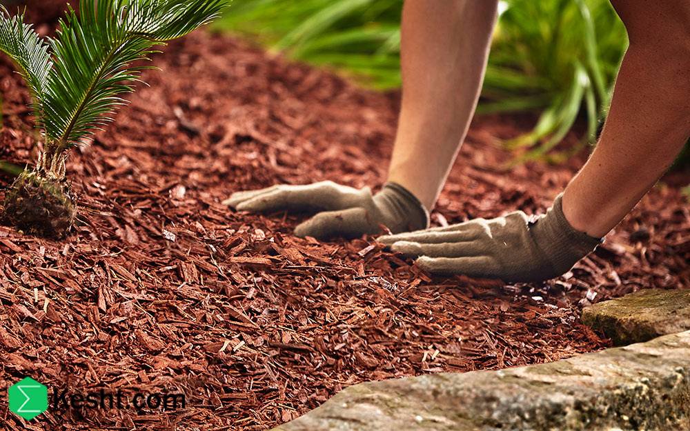lightweight-mulch