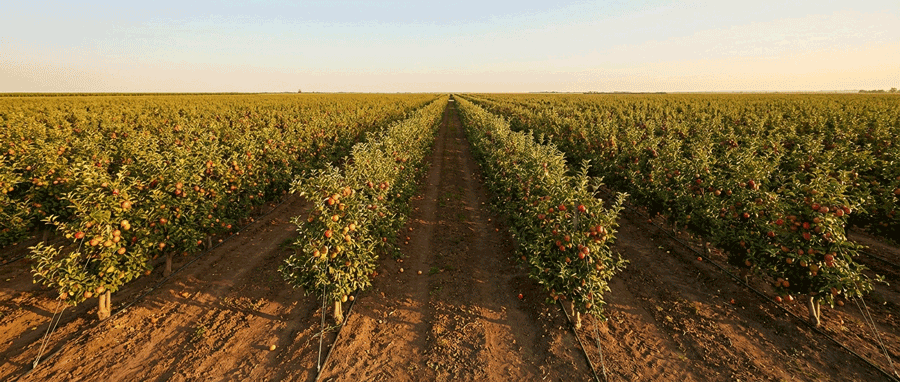 Comprehensive Selection Matrix by Climate & Temperature (2026 Data)