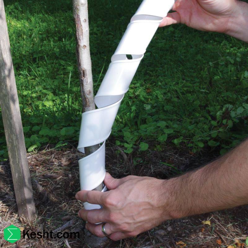 what-is-a-tree-guard