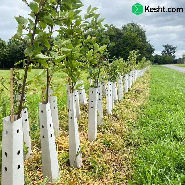 what is a tree guard?