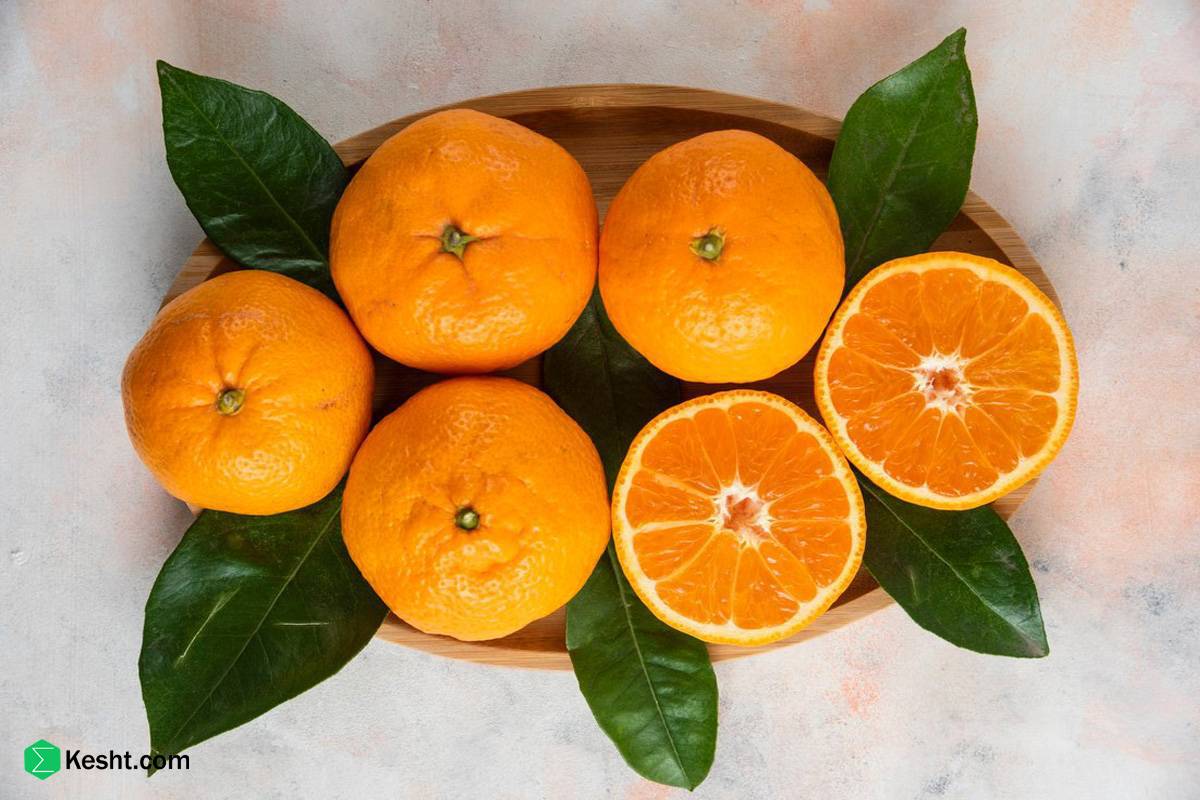 از خواص نارنگی چه می دانید؟