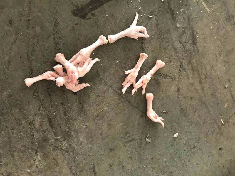 chicken feet grade a plus