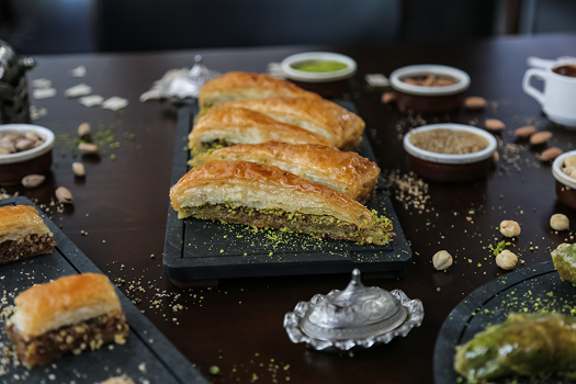 پیشگام رایان داده پژوه