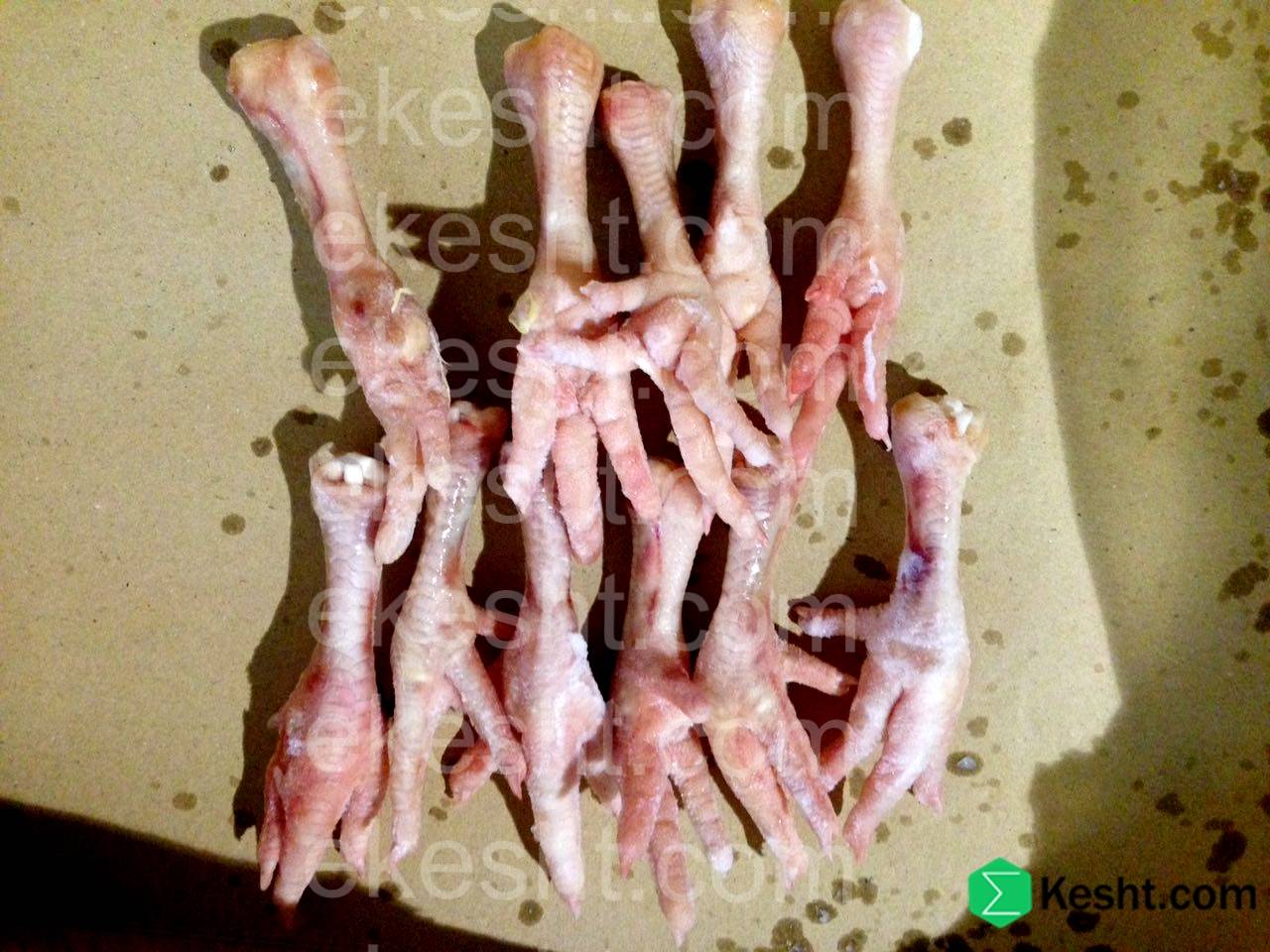 ایکشت صادرات پای مرغ | export of chicken feet and paw