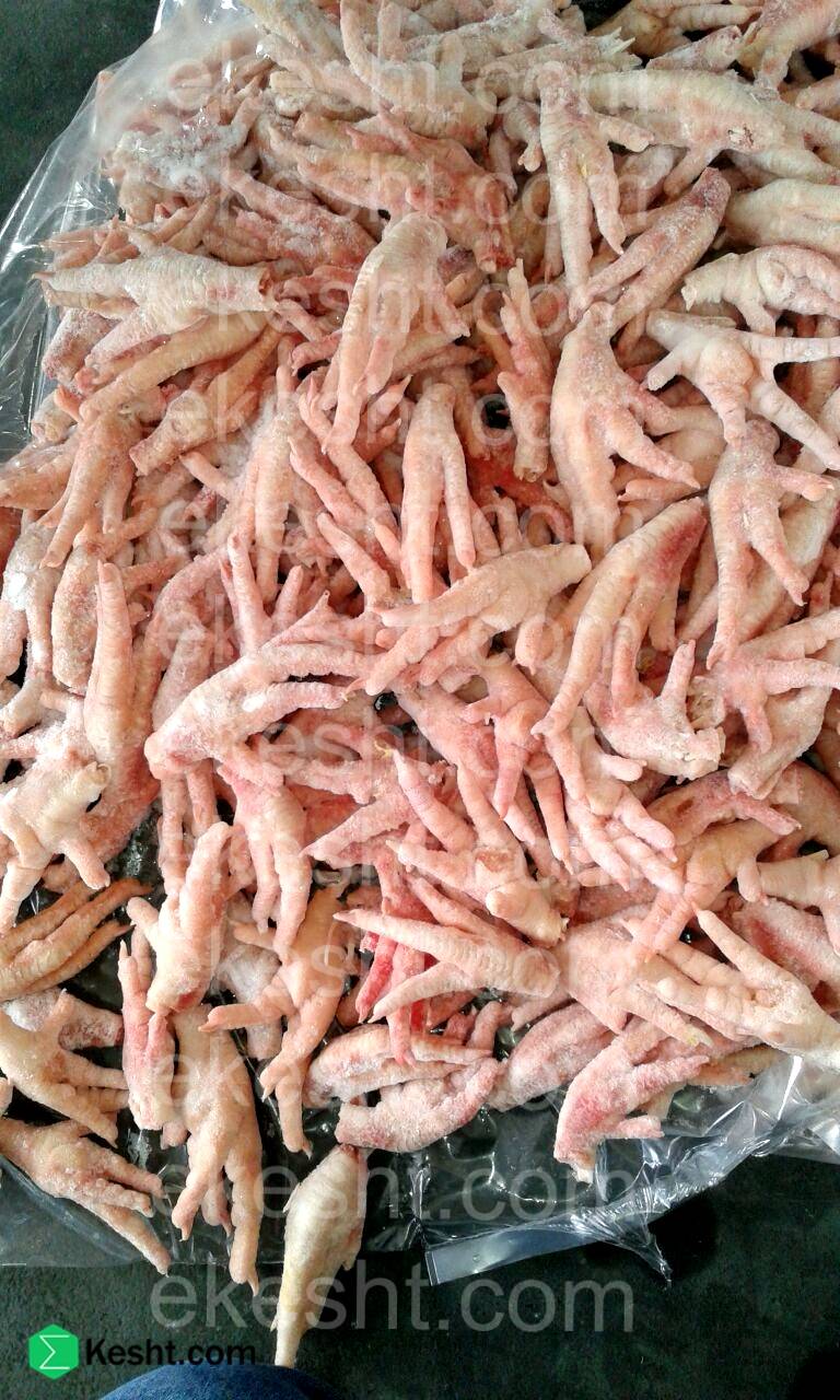 ایکشت صادرات پای مرغ | export of chicken feet and paw