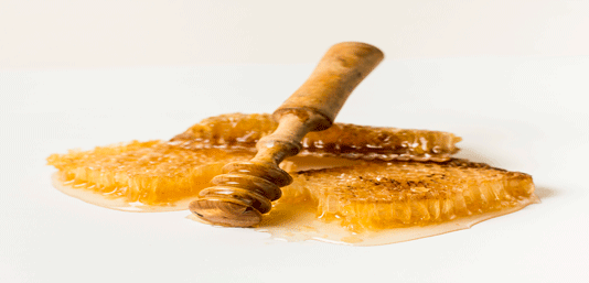 مدیریت صادرات عسل و بره موم برای کشورهای ویتنام و چین | پلتفرم ایکشت