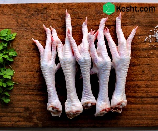 Hscode پای مرغ