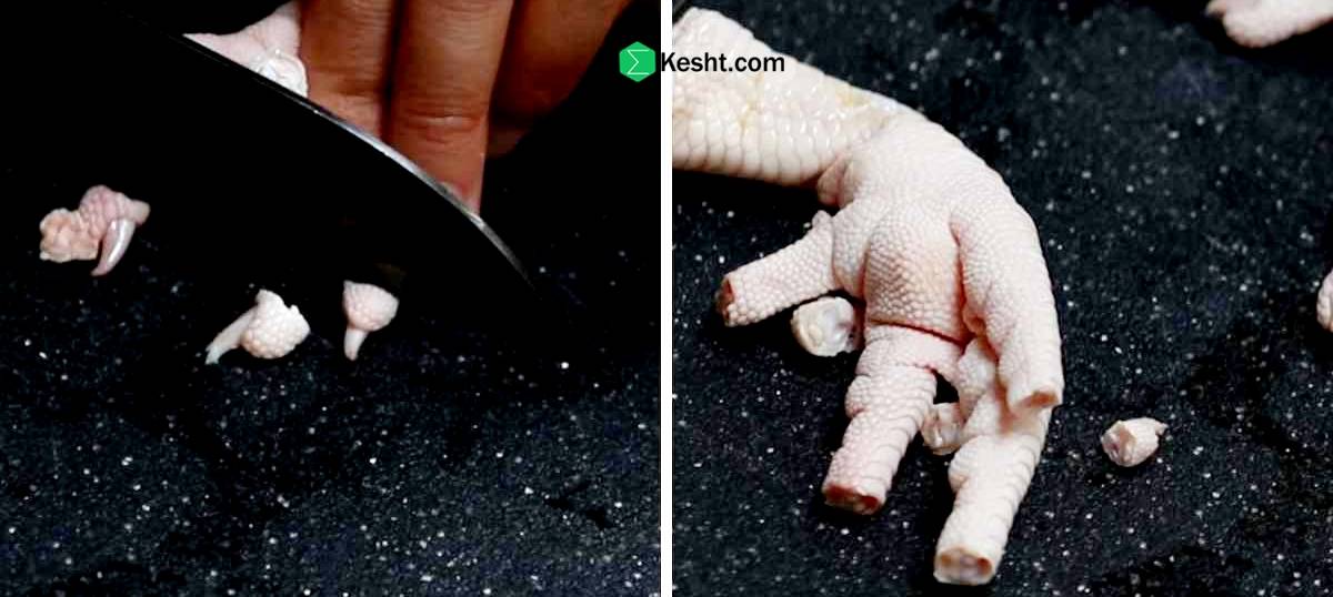 Key Stages of Chicken Feet Export