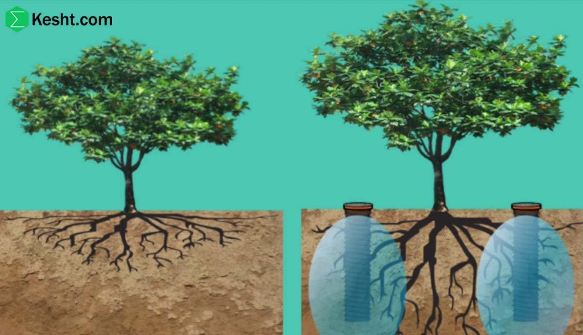 Deep Irrigation