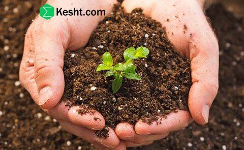 summary of the approximate costs for various microbiological tests on seedlings