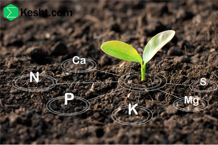 The best time to plant seedlings and check the soil