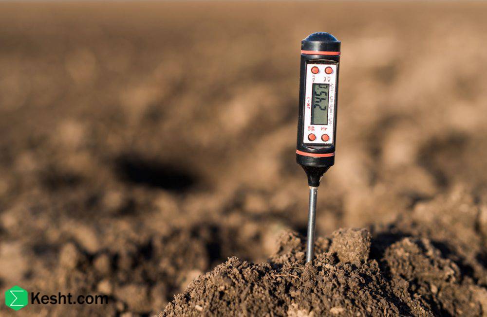 How to test soil before fertilizing