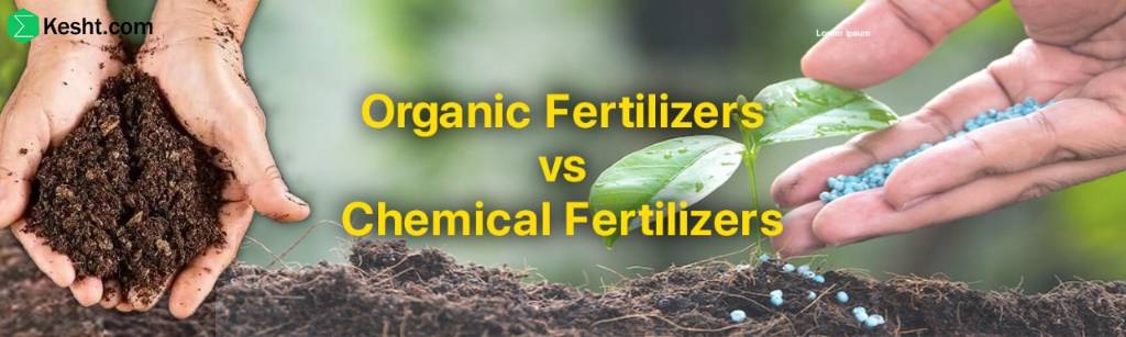 Organic vs. mineral fertilizers for pistachio and their benefits