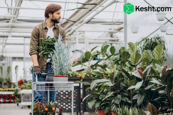 پنج سوال کلیدی که باید از فروشنده نهال بپرسید؟