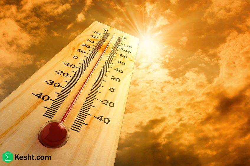 heat waves: why they matter to nursery owners and how to fight them