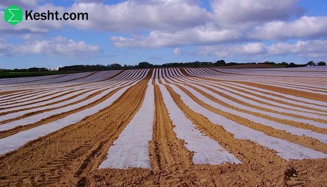 What is plasticulture?