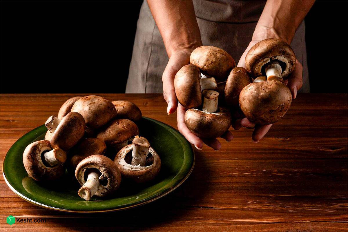 Examining the problems of selling mushrooms