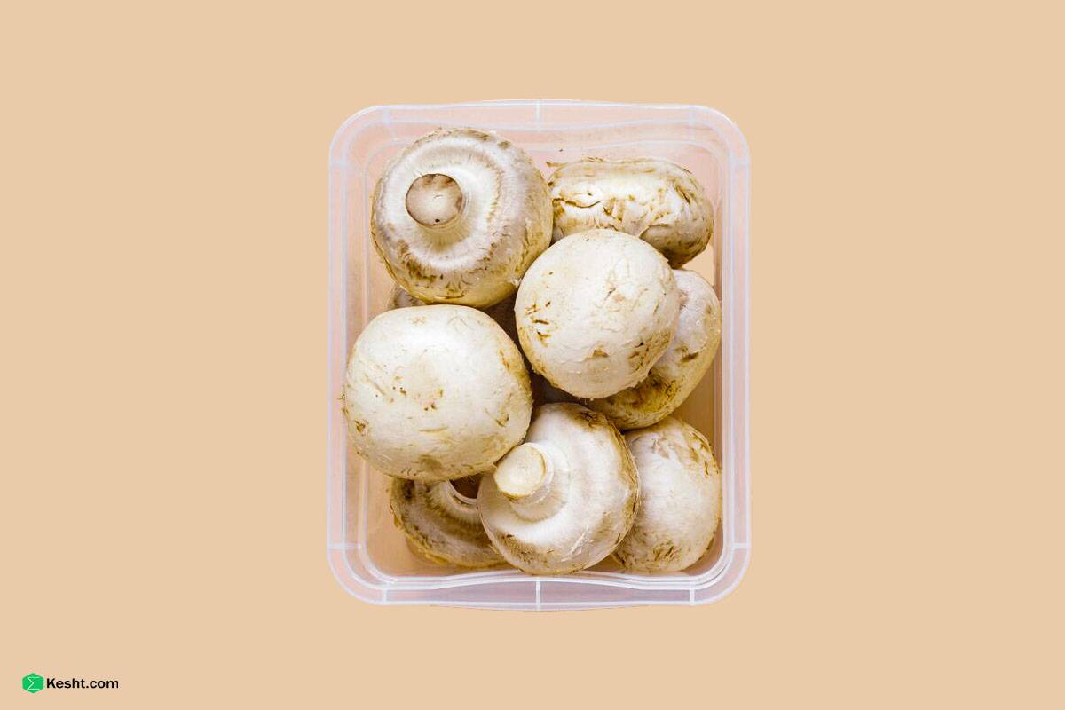 packaging mushroom