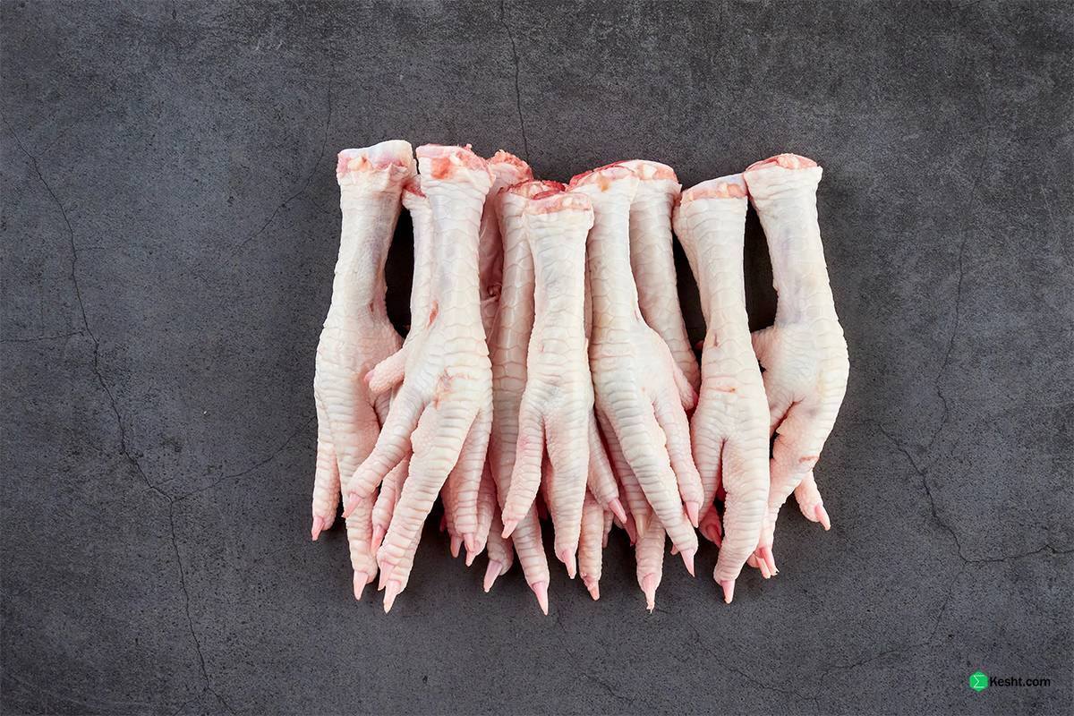 Applications of Chicken Feet in Various Industries